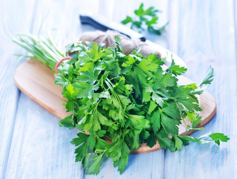 7 Manfaat Parsley untuk Kesehatan, Dapat Membersihkan Ginjal!