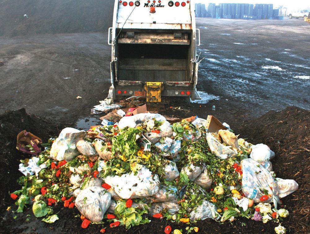 5 Tips Sederhana Atasi Food Waste yang Bisa Diterapkan di Rumah