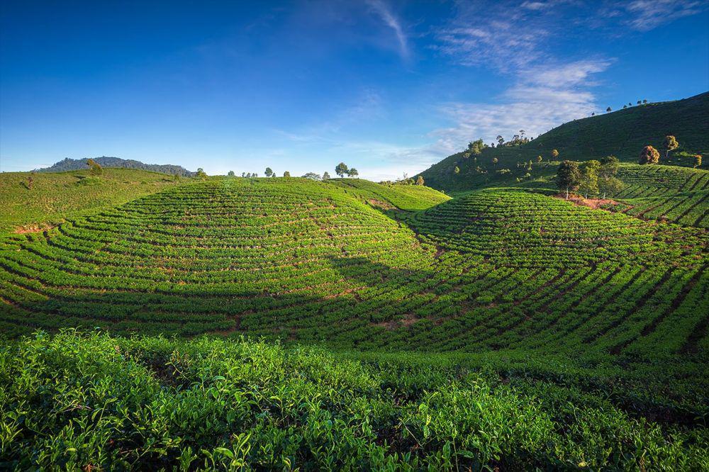 5 Destinasi Wisata Alami yang Wajib Kamu Kunjungi Jika ke Solok