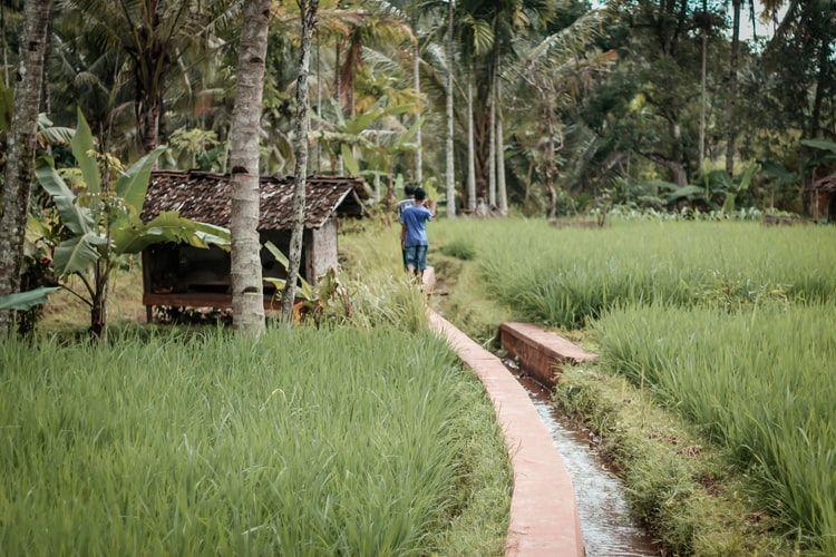 [OPINI] Saatnya Pemuda Kembali ke Desa