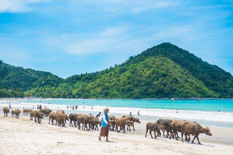 samesamekutalombok.com
