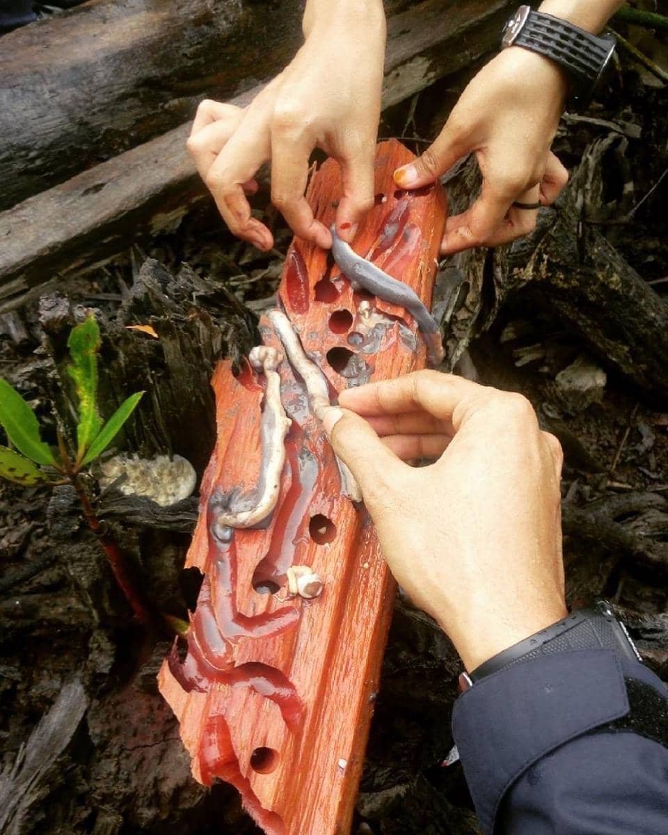 instagram.com/andarwansyah