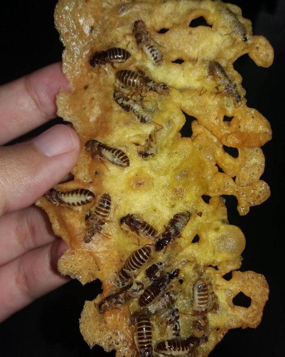 instagram.com/santiherandus