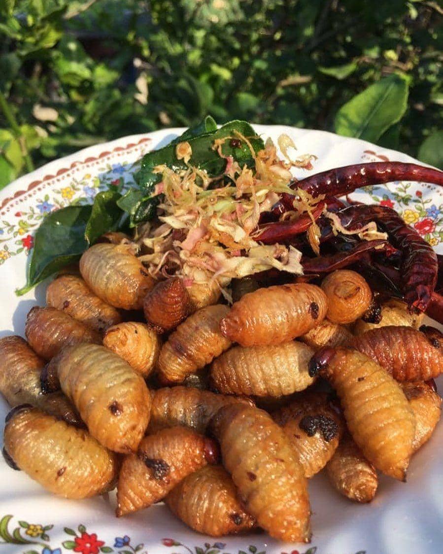 instagram.com/truongminhhieu1111