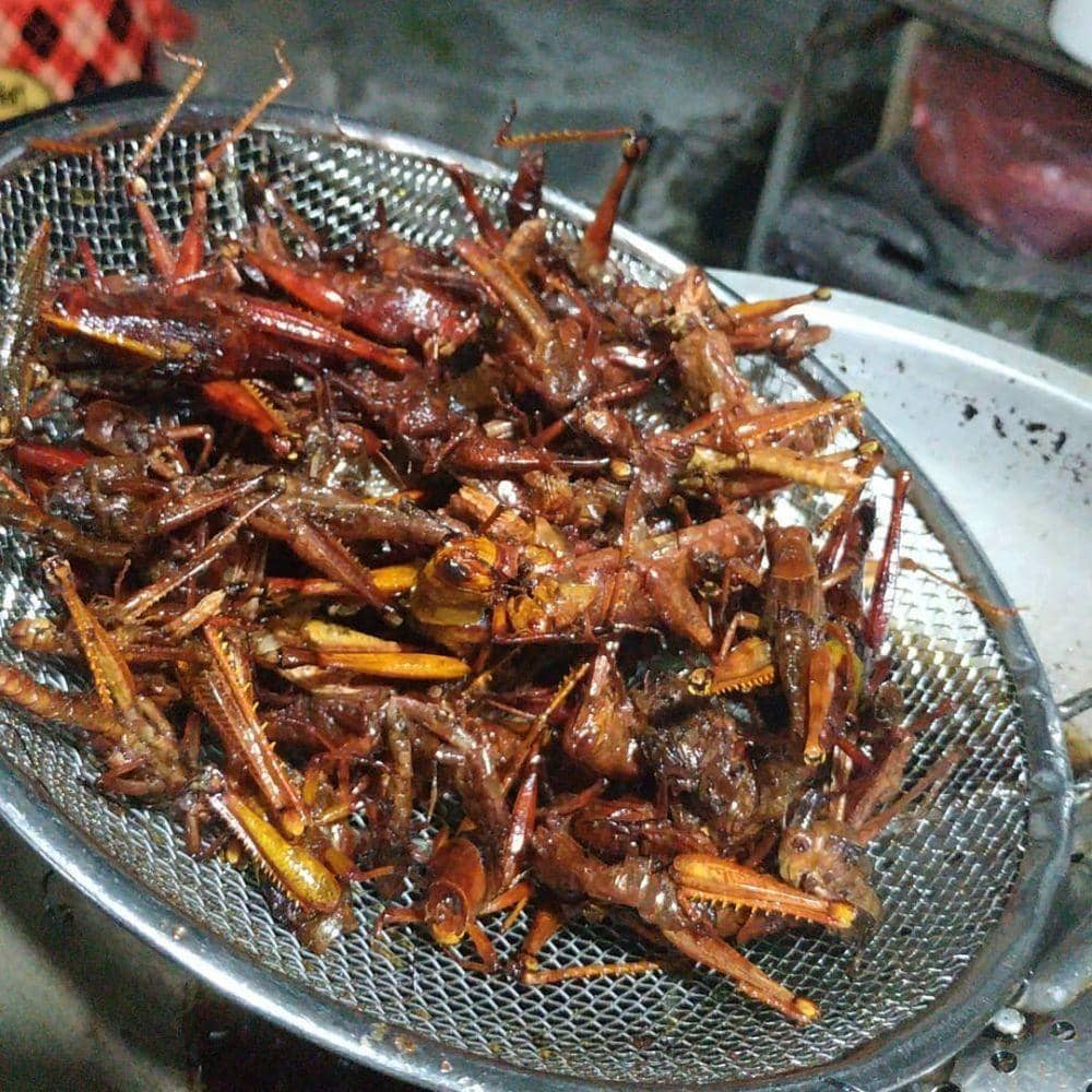 instagram.com/krisikaputri