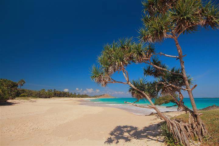 skyscanner.co.id