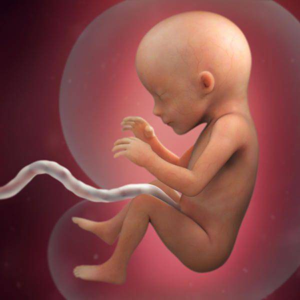babycentre.co.uk