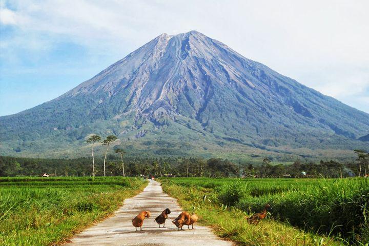 Perhatikan 5 peraturan penting ini sebelum mendaki gunung semeru