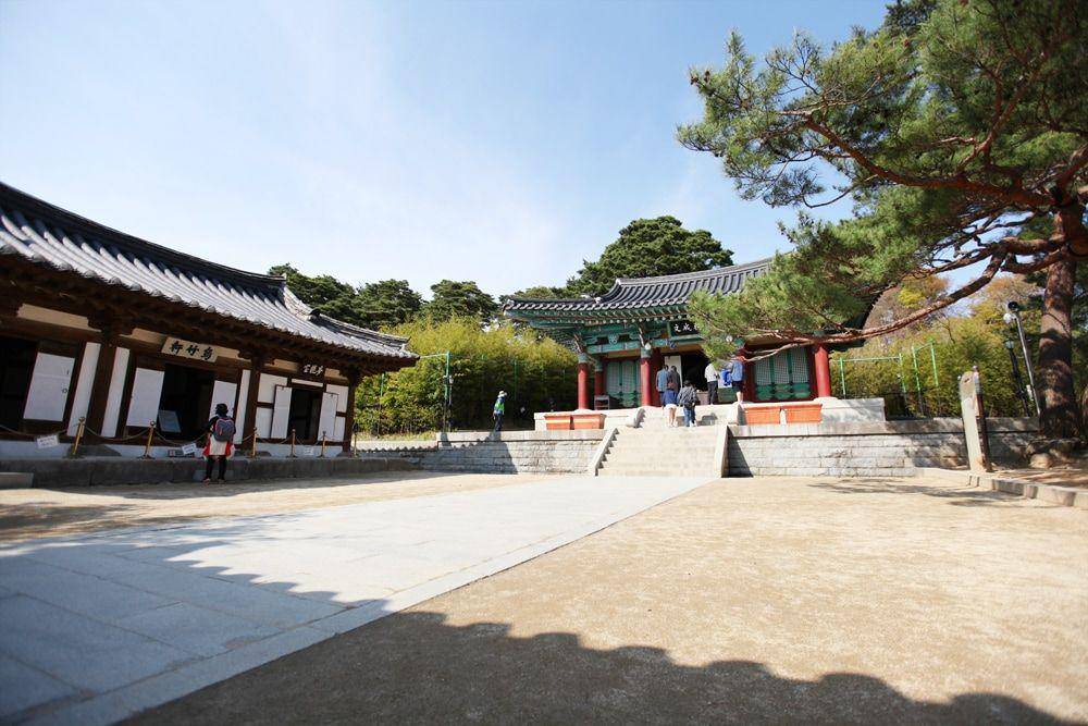 gangneungtours.com