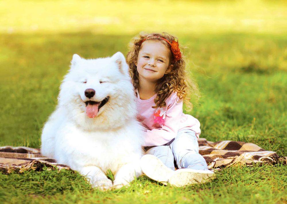 petcare.com.au