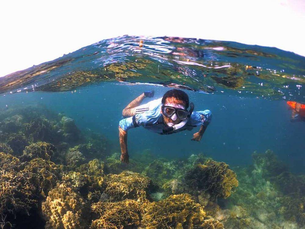 instagram.com/reefsadventure_pulaupetong
