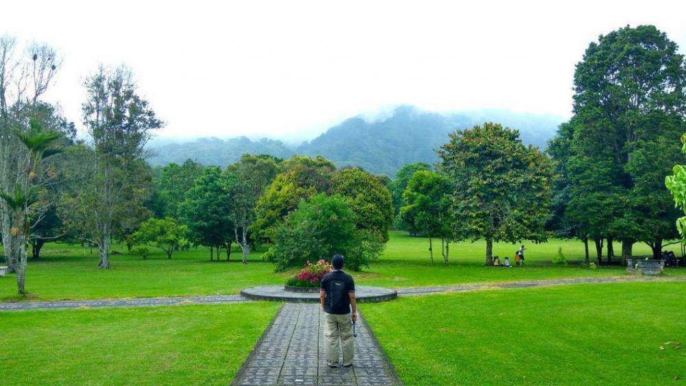 kintamani.id