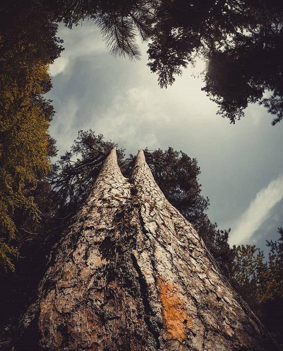 instagram.com/landscapes_calabria
