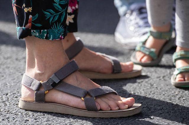 shoereports.com