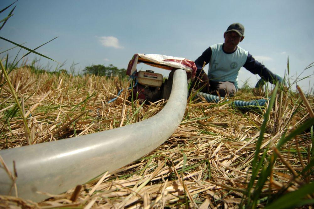 5 Dampak El Nino yang Bisa Dirasakan Manusia