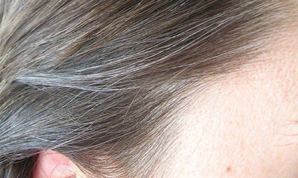 forum.facmedicine.com