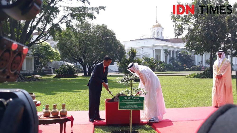 [WANSUS] Menakar Mesranya Hubungan RI-UEA di Era MBZ Jadi Presiden