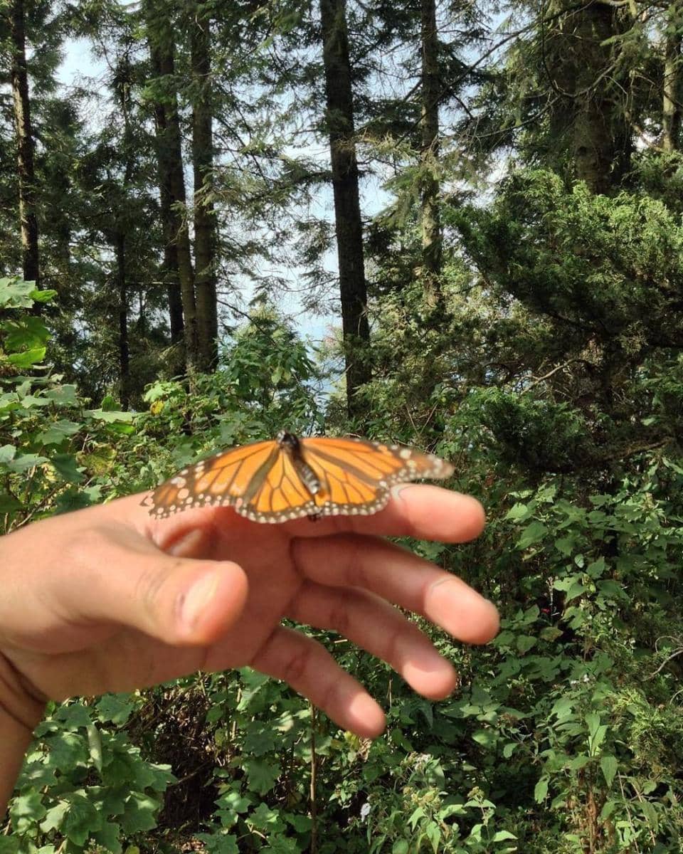 instagram.com/juliogaribay209