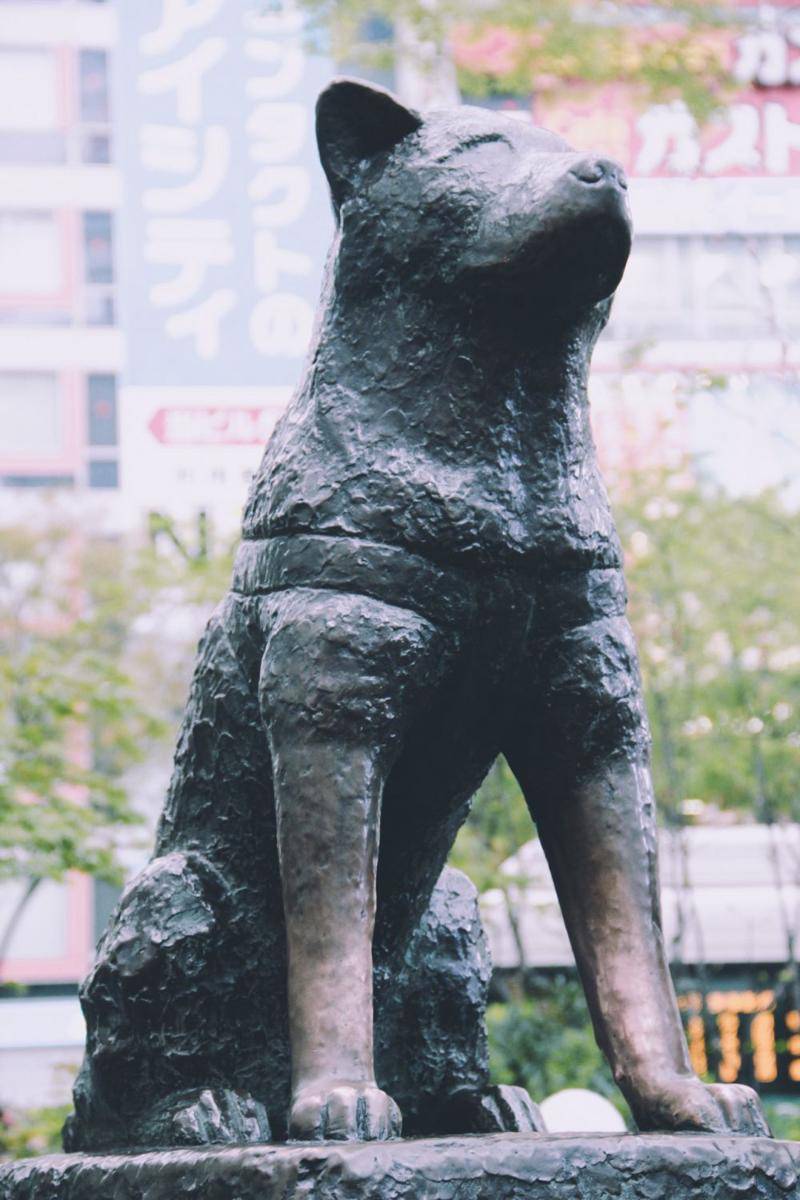 pexels.com/Arthur Mazi