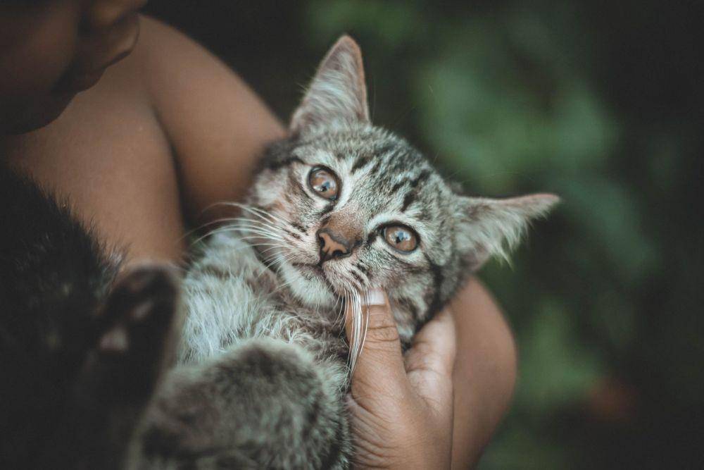 cuddla.com