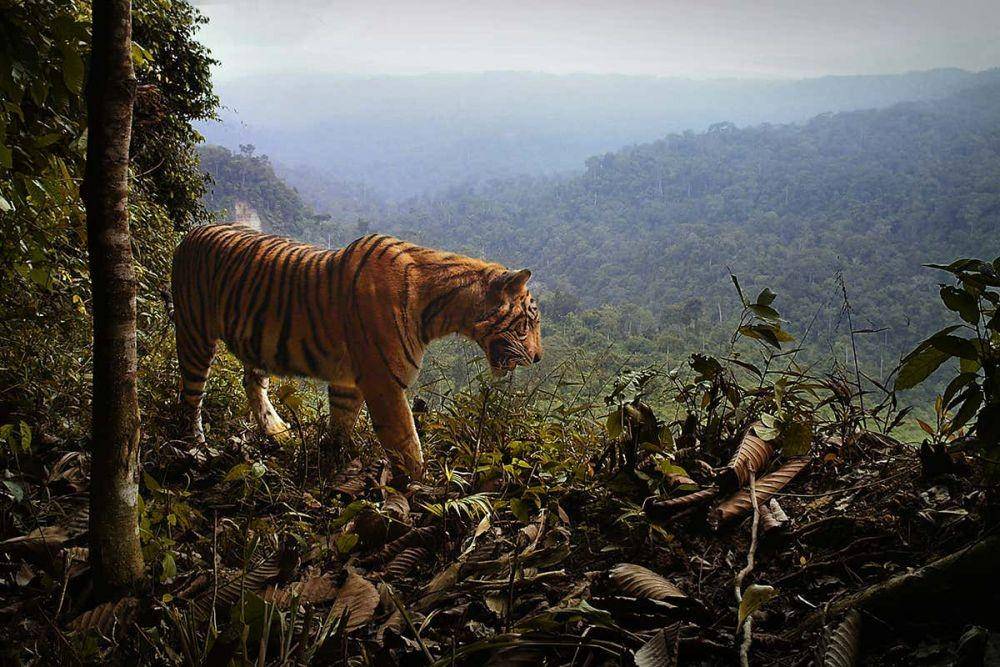newscientist.com