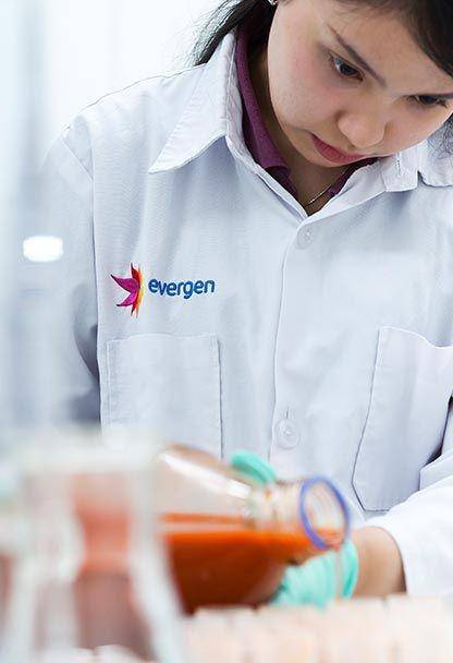 evergen.co.id