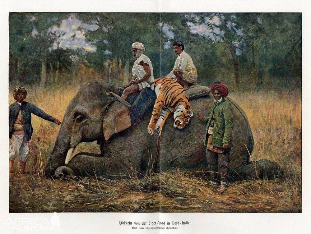 africahunting.com