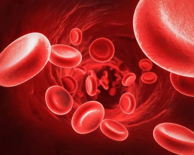 www.interactive-biology.com