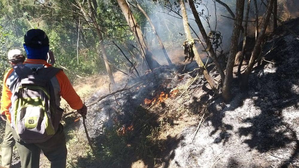 Karhutla di Gunung Panderman Jawa Timur Dipadamkan KPH Malang