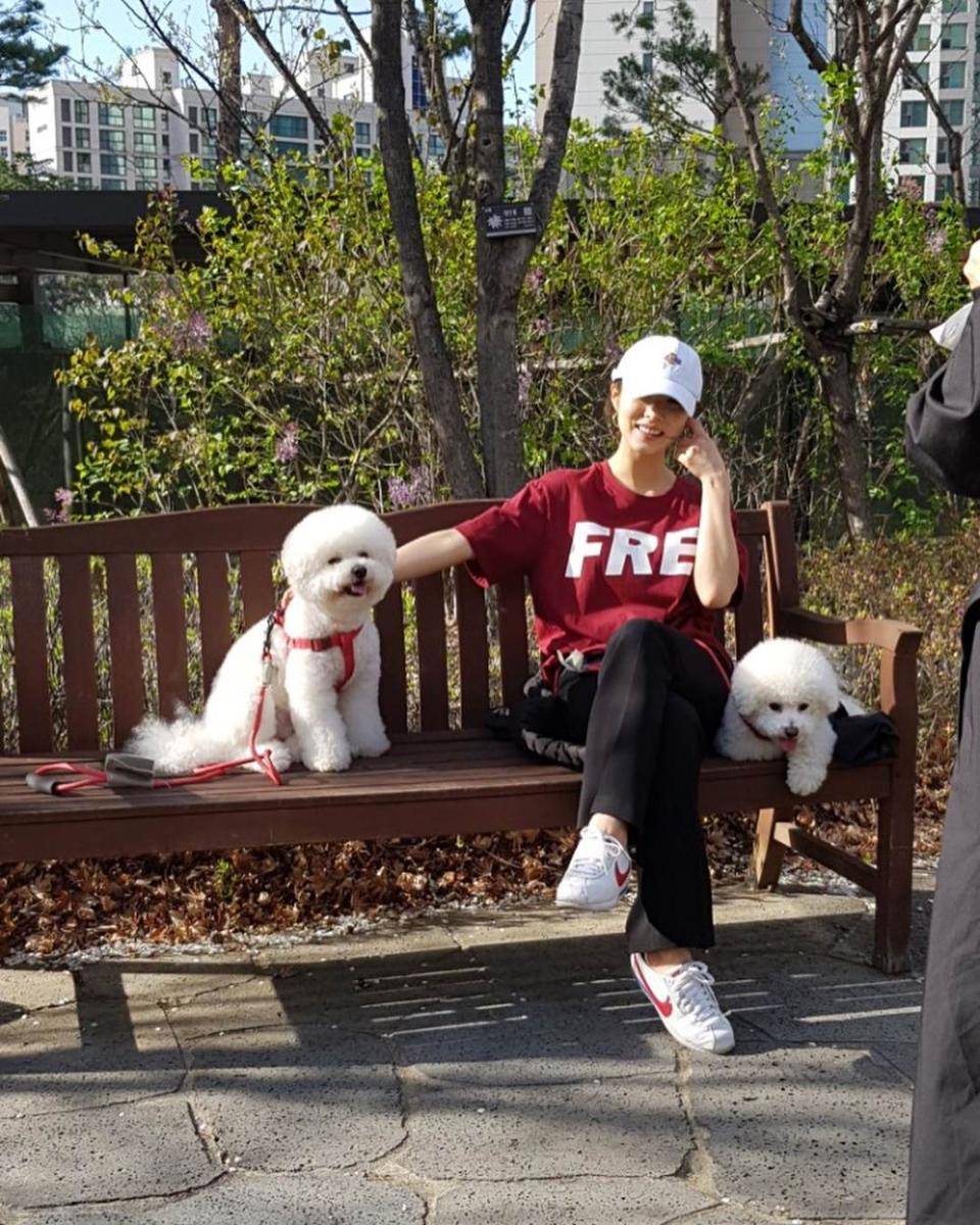 Instagram.com/sjkuksee