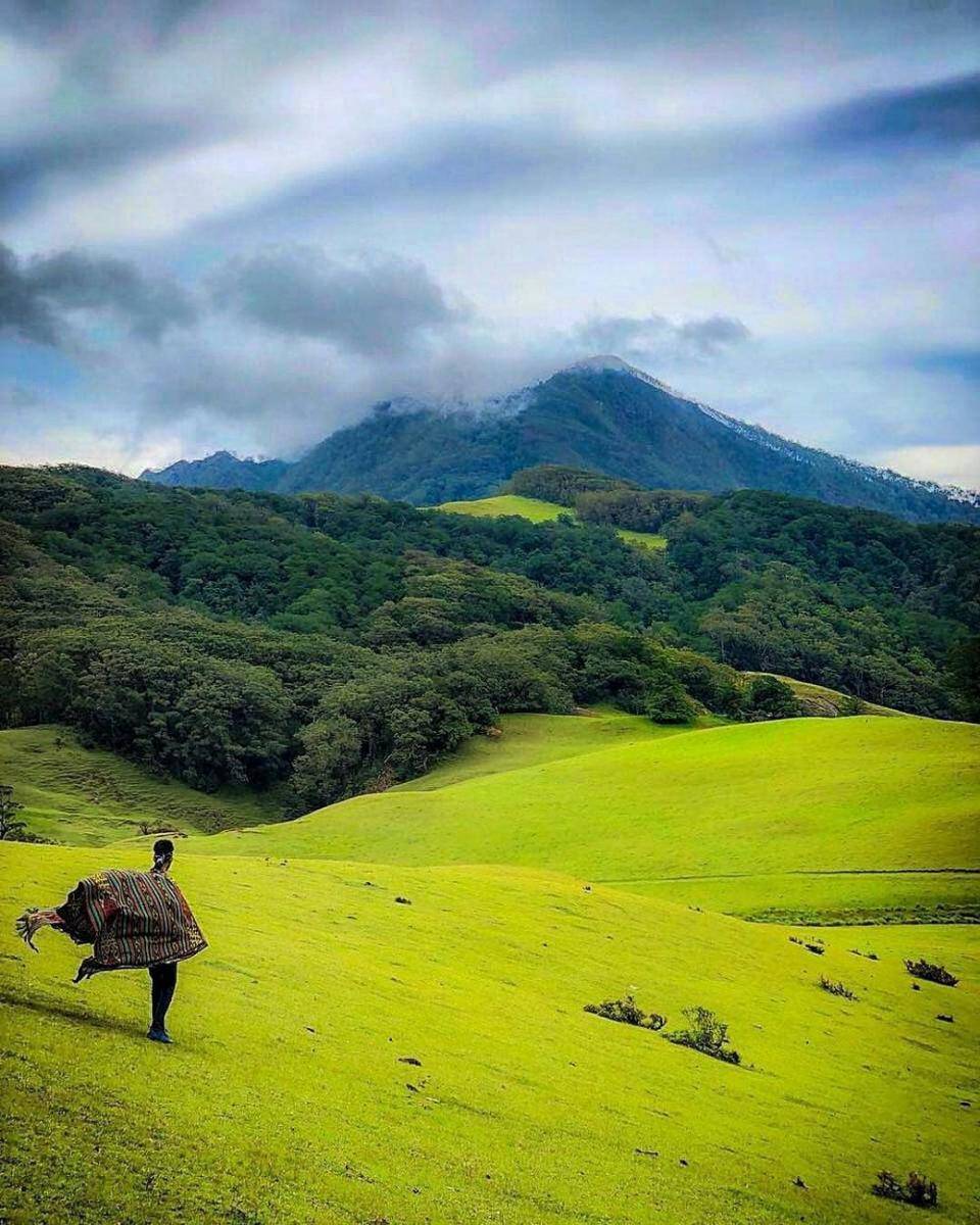 instagram.com/piknikyuks