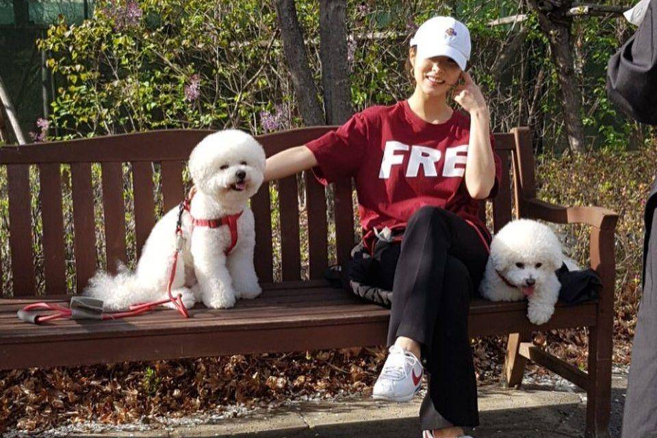 Instagram.com/sjkuksee