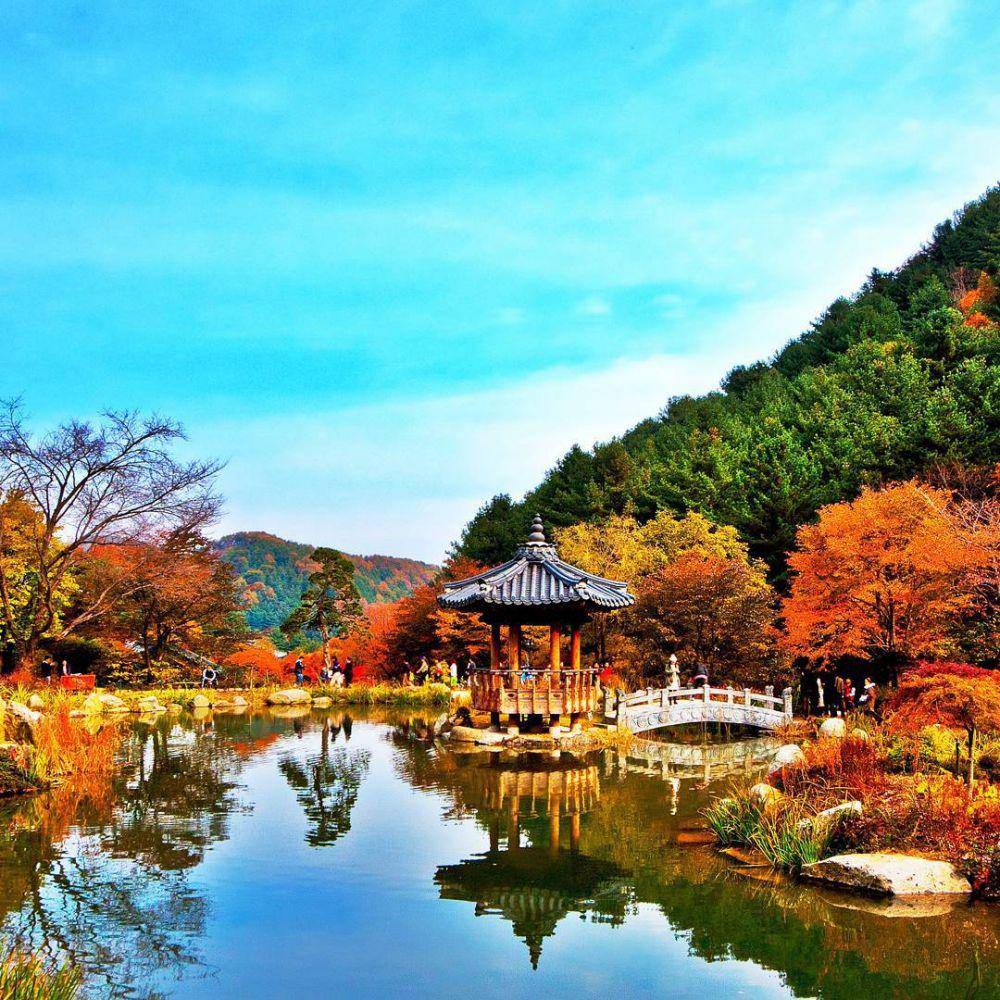 instagram.com/morningcalm_garden