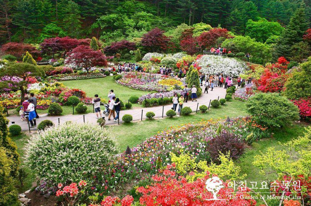 instagram.com/morningcalm_garden