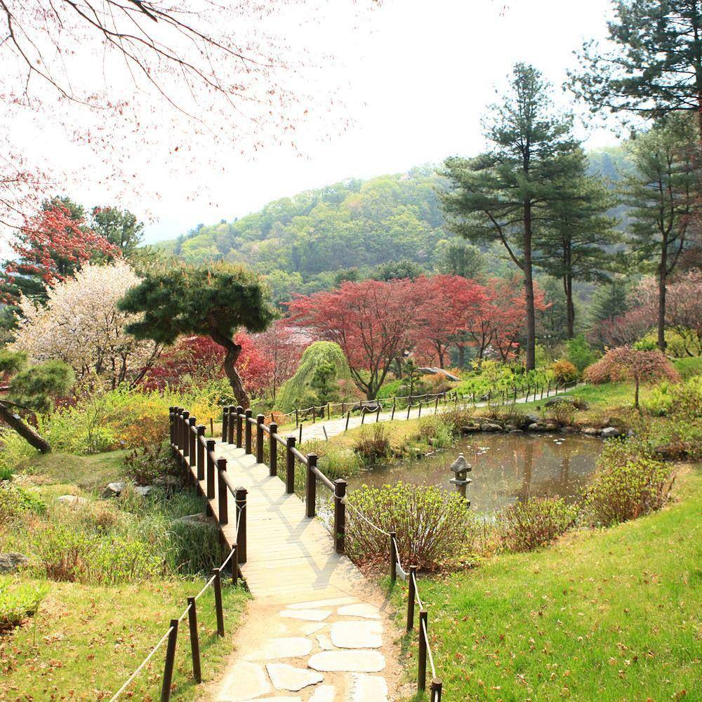 instagram.com/morningcalm_garden