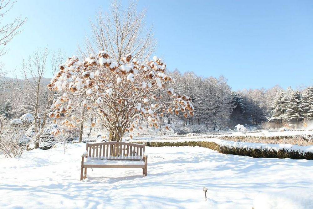 instagram.com/morningcalm_garden