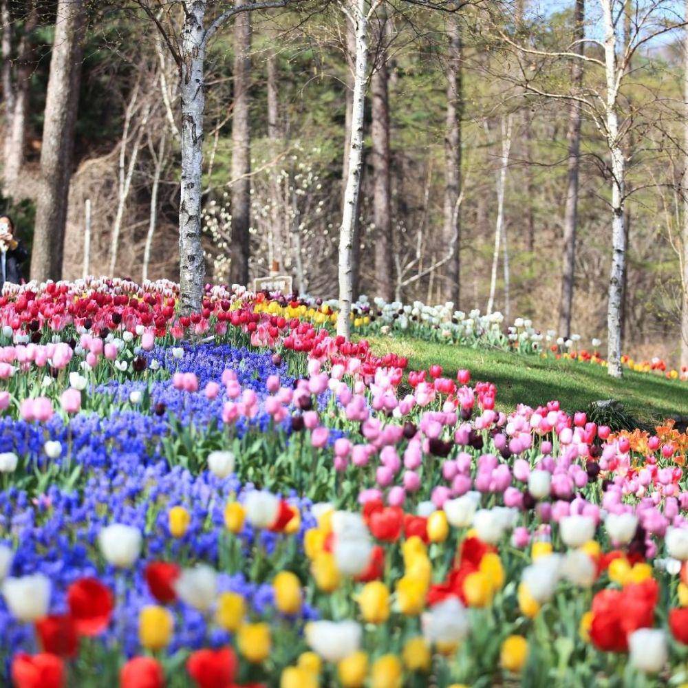 instagram.com/morningcalm_garden