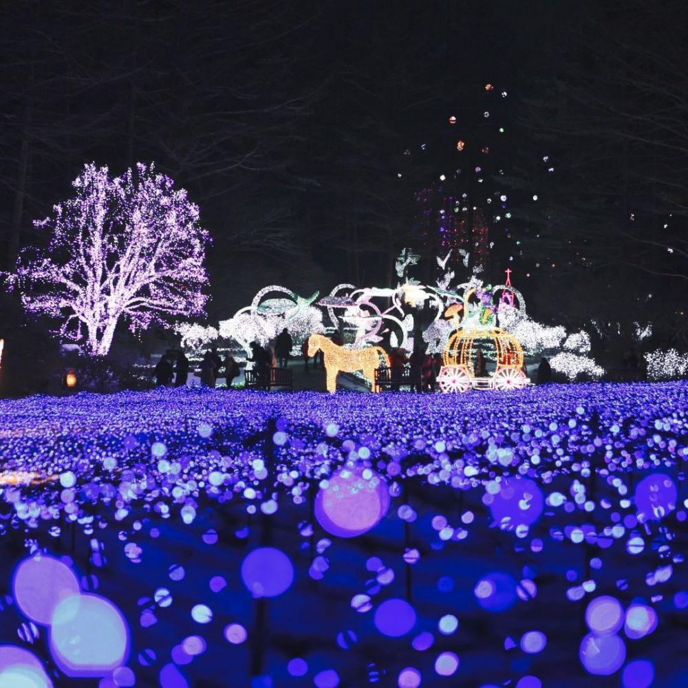 15 Pesona The Garden of Morning Calm di Korea Selatan, Instagenic!