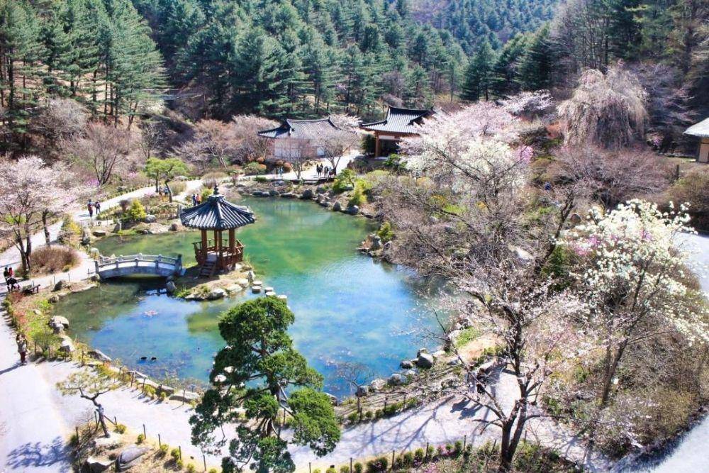 instagram.com/morningcalm_garden