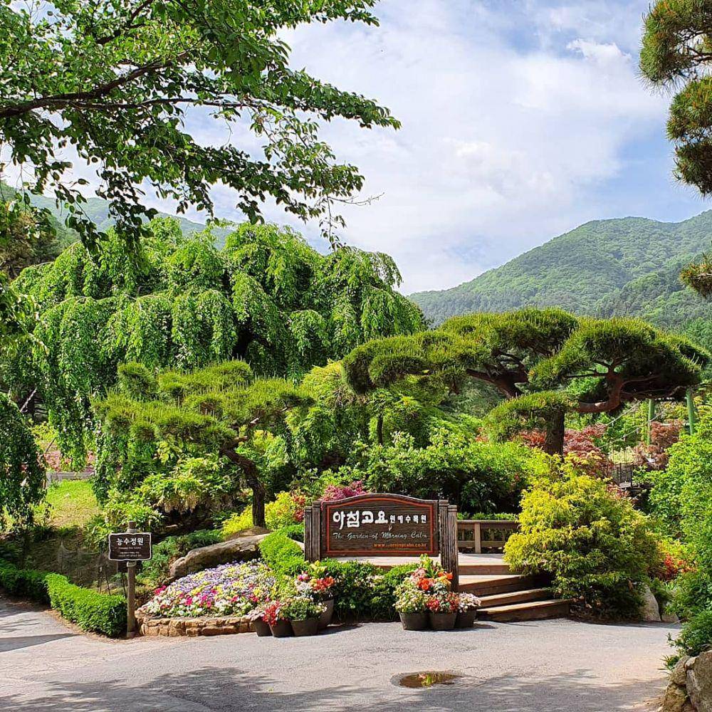 instagram.com/morningcalm_garden