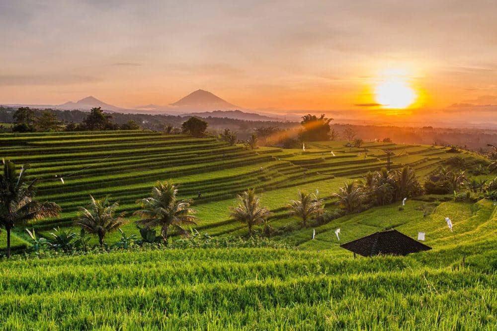 indonesia.travel