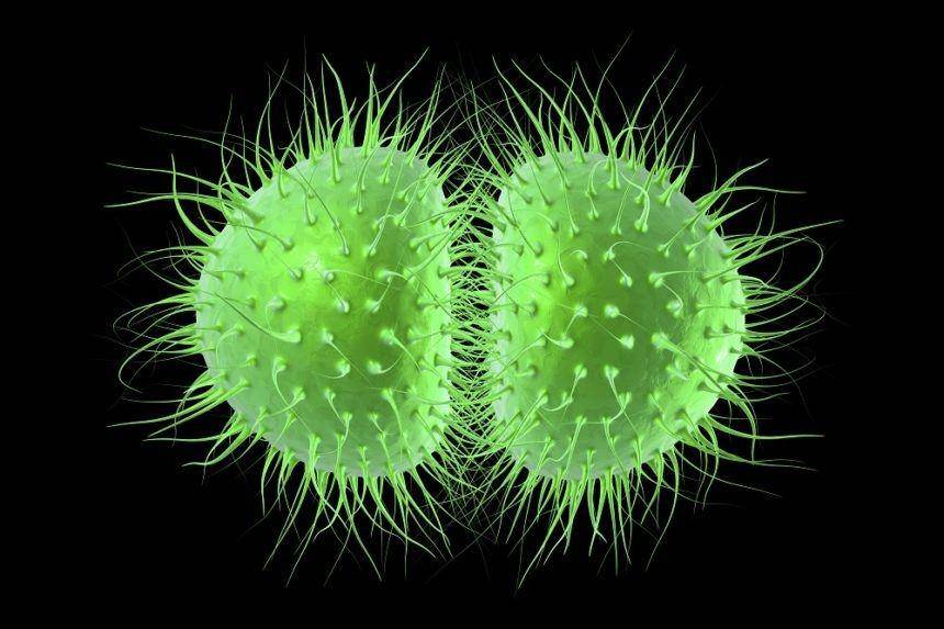 infectiousdiseaseadvisor.com