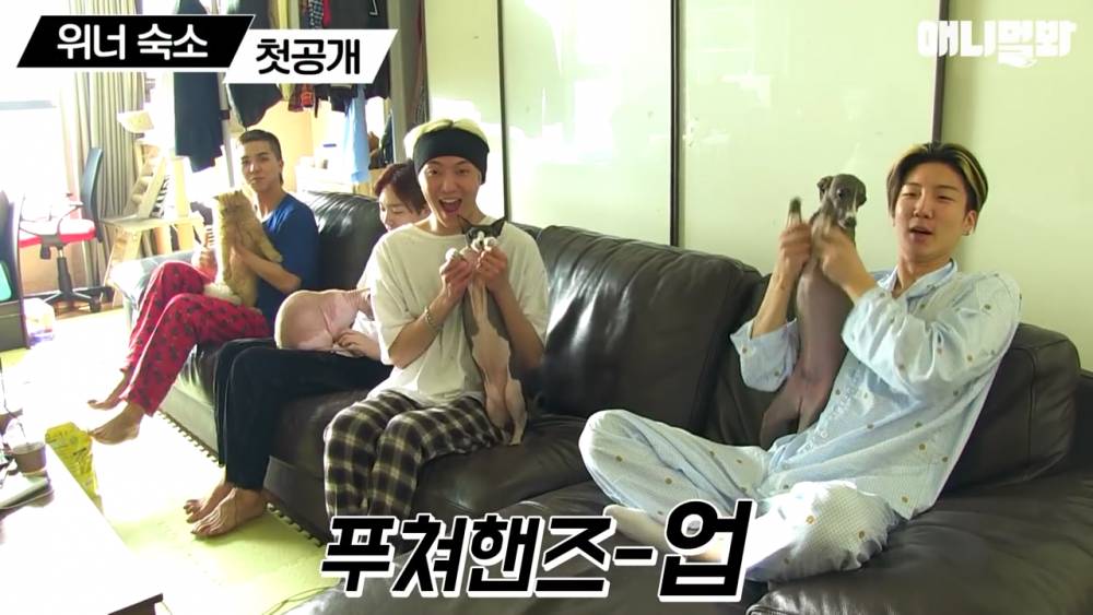 youtube.com/SBS TV