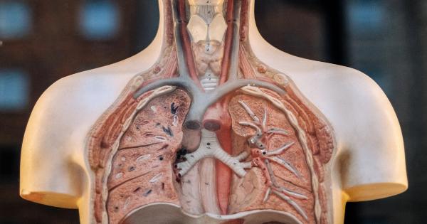 Fakta Transplantasi Paru-Paru, Prosedur Operasi yang Kompleks