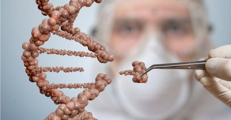 10 Fakta Rekayasa Genetik yang Bermanfaat Bagi Kehidupan Manusia