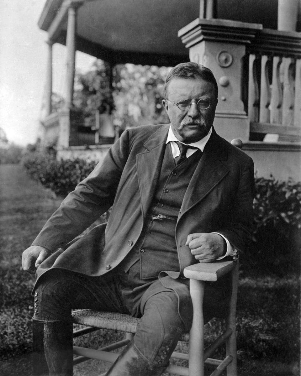 teddyrooseveltlive.com