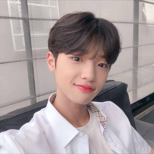 twitter.com/dongpyobot