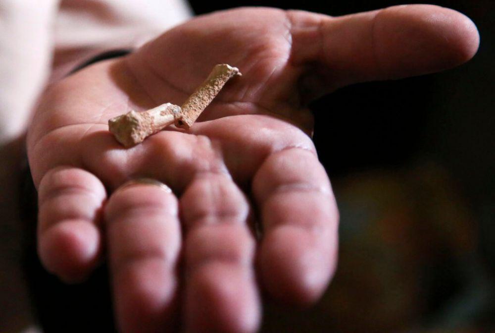 Spesies Manusia Purba Baru, 9 Fakta Menarik Homo luzonensis
