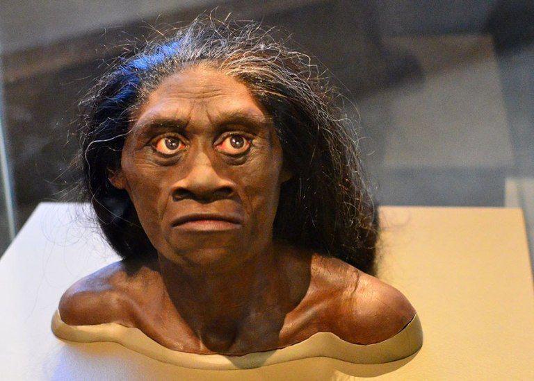 Dijuluki 'Hobbit', 7 Fakta Menarik Spesies Homo floresiensis