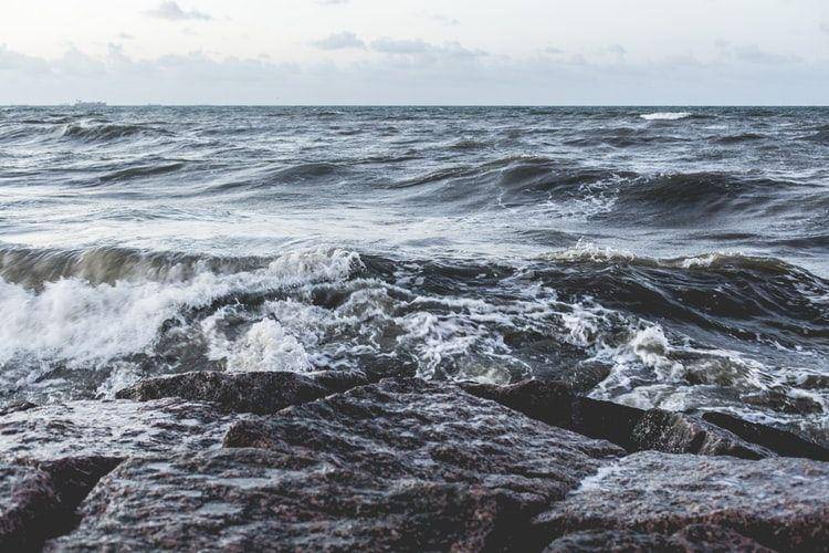 unsplash.com/kaylin